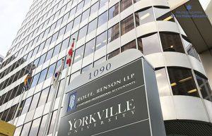 dai-hoc-yorkville-featured-1