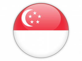 du-hoc-singapore-flag